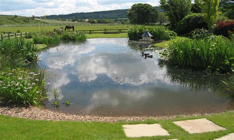 In a lily pond i lay all upon a summer's day then i chased a dragonfly all across an ancient sky falling with a thousand stars down the milky way to mars back again in time for day in a lily pond i lay. Creating A Lily Pond Garden Feature | Landscape Creations ...
