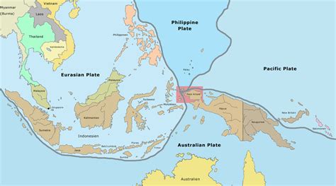 The Biodiversity In The Coral Triangle Of Indonesia