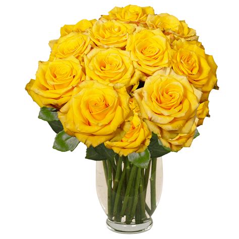 Bouquet Of Yellow Roses Near Me - elainewed flowers