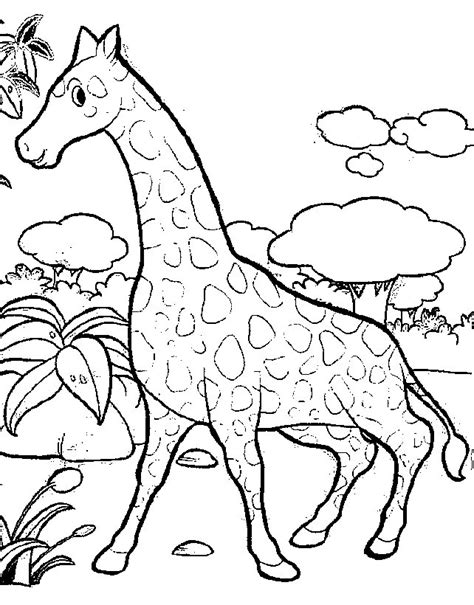 Giraffes coloring page with few details for kids. Giraffe Coloring Pages - Coloringpages1001.com