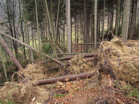 Ebenfalls, wann war der sturm kyrill in deutschland?. Sturmtief Kyrill 2007 u. a. | Dorsten Lexikon