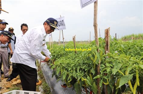Masyarakat kelas ekonomi bawah diprediksi bakal menjadi kelompok yang paling merasakan dampak negatif penyebaran virus corona di indonesia. M. AMENAN : TINGKATKAN PENDAPATAN PETANI DARIPADA JUMLAH ...