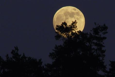 Aufsteigender Vollmond - Schöpfung