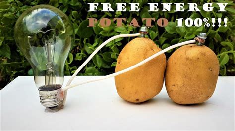 Free Energy Light Bulbs 220v Using Potato Youtube Potato Battery