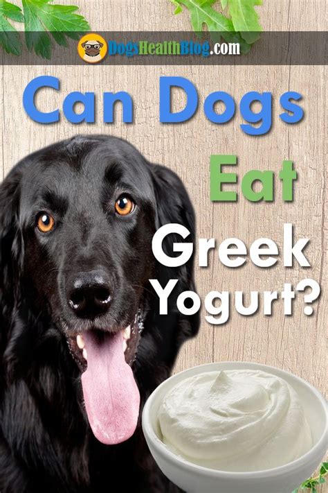 When you buy through links on our site, we may earn an affiliate commission. Can Dogs Eat Greek Yogurt? Is Yogurt Good for Dogs? | Eat ...