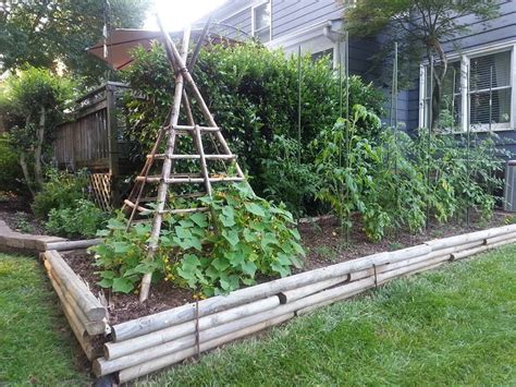 Cucumber Trellis In A Raised Bed Garden And Yard Vegetable Garden Diy