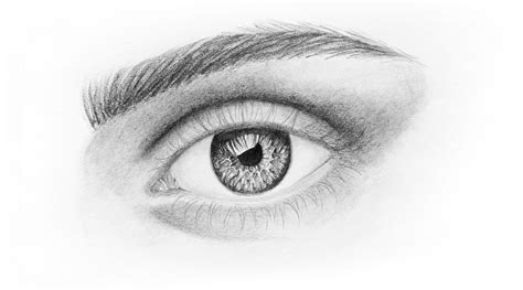 Cómo Dibujar Ojos A Lápiz 】 Paso A Paso Muy Fácil 2024 Dibuja Fácil