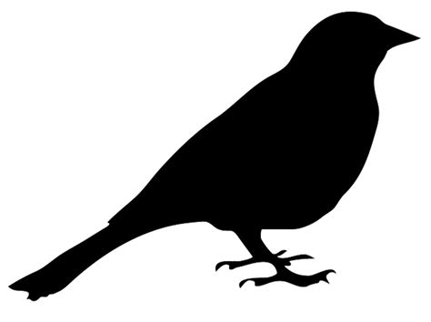 Wild Common Blackbird Png ภาพคุณภาพสูง Png All