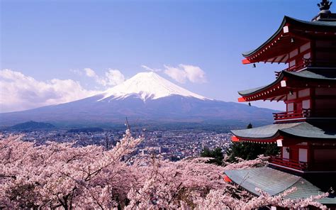 Sakura Et Le Mont Fuji Fond Décran Photographie De Paysage 1920x1200