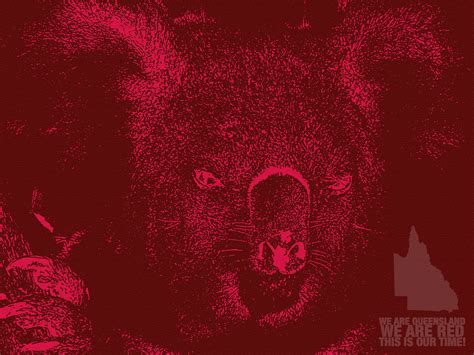 Red wallpapers hd download free high quality beautiful cool red background wallpaper images collection for your mobile phones. Queensland Reds (Rusty The Koala) Wallpaper by Sunnyboiiii ...