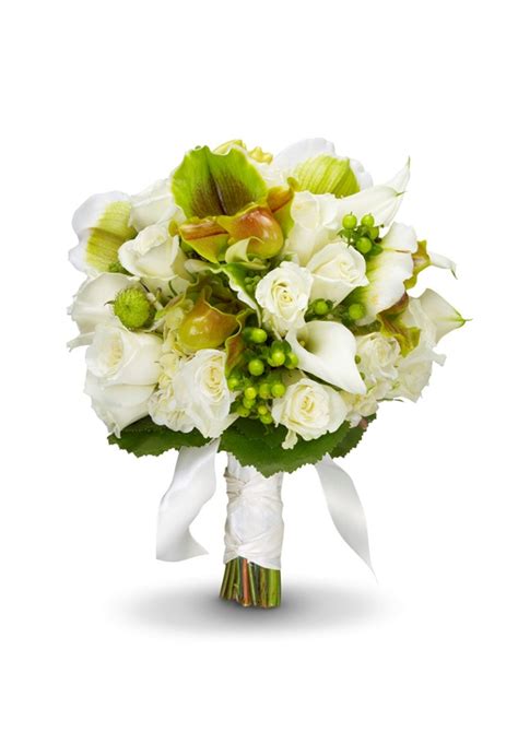 Check out our port kembla selection for the very best in unique or custom, handmade pieces from our shops. Namibia Wedding Flowers
