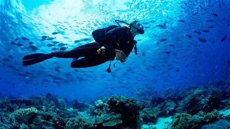 2 Tank Dive Epic Water Toys Cancun