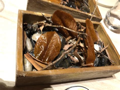 We did not find results for: Food in the shape of a leaf hidden in a box with real ...