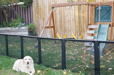 Aliya Diys Diy Dog Gate Outdoor Fence Ideas