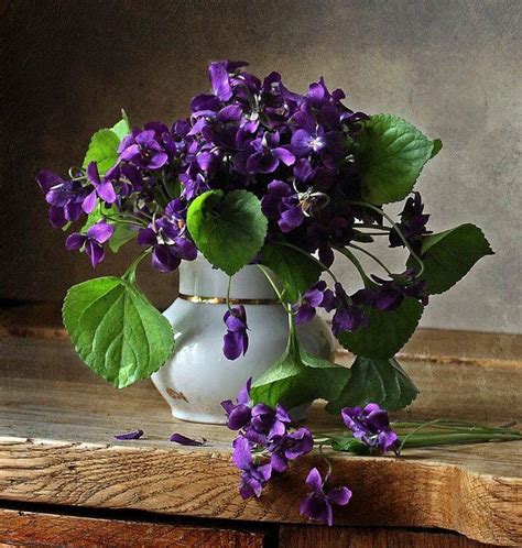 Vase Of Violet Flowers Purple Flowers Violet Flower Beautiful Flowers