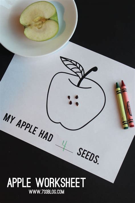 How Many Seeds In An Apple Inspiration Made Simple