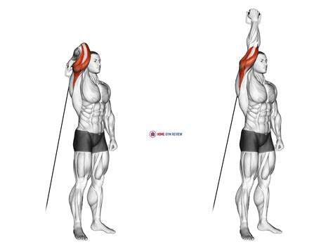 Cable Standing Reverse Grip One Arm Overhead Tricep Extension Home