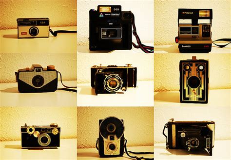 Camera Collage My New Antique Cameras I Love My Mom And Flickr