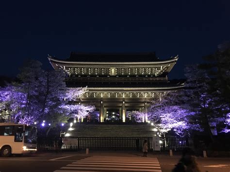 Kyoto Temple Sakura 2019 At Night Rjapanpics