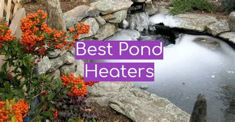 Top 5 Best Pond Heaters January 2024 Review Windchimesguide