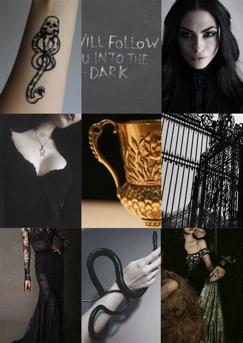 bellatrix black lestrange aesthetic inspiration harry potter bellatrix harry potter fantastic