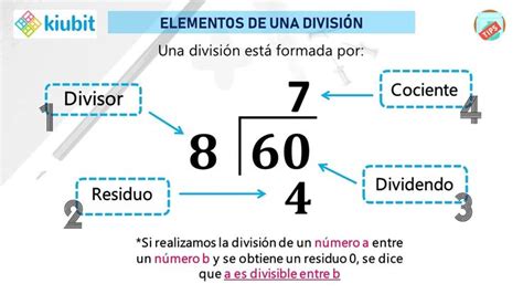 Elementos De Una División Matematicas Pedagogia División