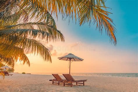 Wonderful Beach Scenery Chairs On The Sandy Beach Near The Sea