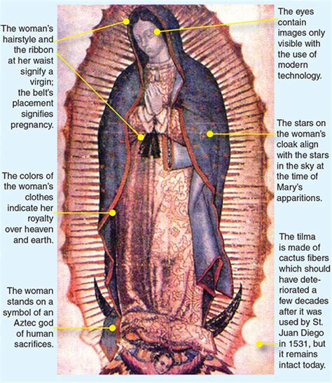 Our Lady Of Guadalupe Star Of The New Evangelization