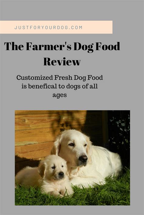 The farmer's dog is a really great dog food for people who can afford to spend a little bit more on the pets and use homemade dog food delivery service as they do not have time to fix it themselves. Pin on Dog Food