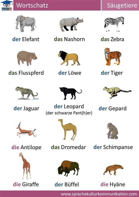 Wortschatz Säugetiere Deutsch Lernen Deutsch Deutsch Kinder