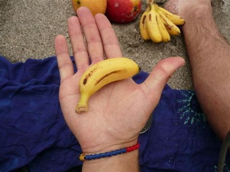 Pin By Sheryl Umphrey On Miniature Crafts In 2021 Mini Bananas