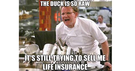 Gordon ramsay signature restaurant, restaurant gordon ramsay in chelsea, london, has held three michelin stars since 2001. The Best Chef Ramsay Memes That Capture His Endless Talent ...