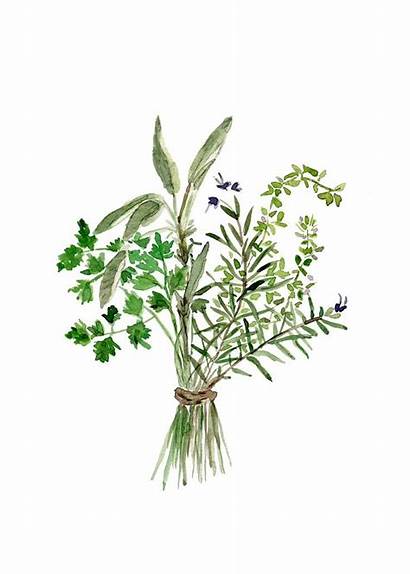 Herbs Sage Thyme Rosemary Bouquet Kitchen Herb