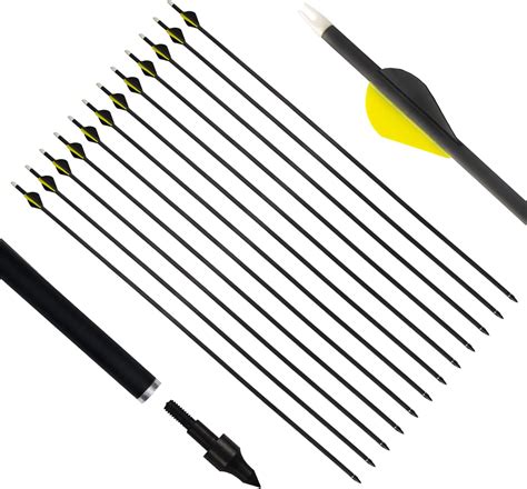 E5e10 Pure Carbon Arrow 31 Archery Arrows Spine 300 400