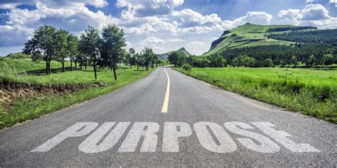 How to pronounce purposes in english? How to Find Your Purpose in Life: 10 Online Tests Worth Taking