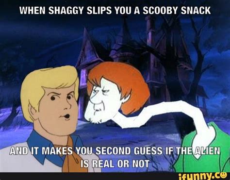 Scooby Doo Meme Face