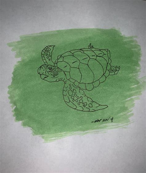A Drawing Of A Sea Turtle On Green Watercolor Paper