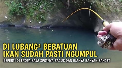 Senangnya Lihat Spot Mancing Begini Mancing Wader Teknik Kumbul Spot