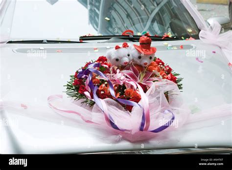 Wedding decorations on hood of car Stock Photo - Alamy
