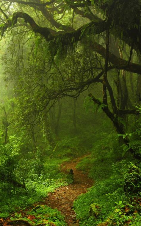 Nature Mobile 4k Wallpapers - Wallpaper Cave