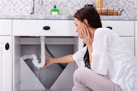 3 Ways To Fix A Leaking Pipe In Your House Fenwick Home Services