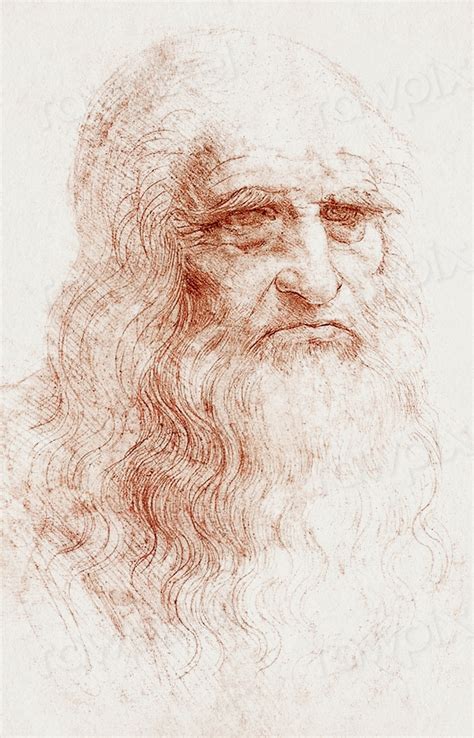 Leonardo Da Vinci S Self Portrait 1512 Free Photo Illustration