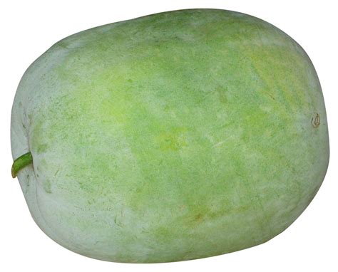 Winter Melon PNG Image - PngPix