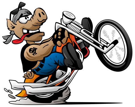 Biker Hog Popping Un Wheelie Sur Une Illustration De Vecteur Pour Le Dessin Anim Moto