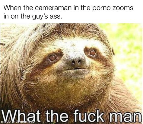 Sloth Meme R Pornomemes