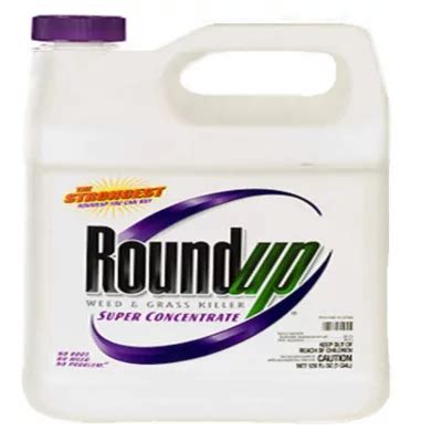 Roundup Super Concentrate Weed Grass Killer Gal Sam S Club