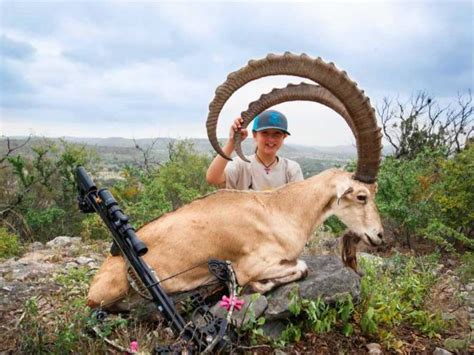 Ibex Crossbow Hunting Ox Ranch