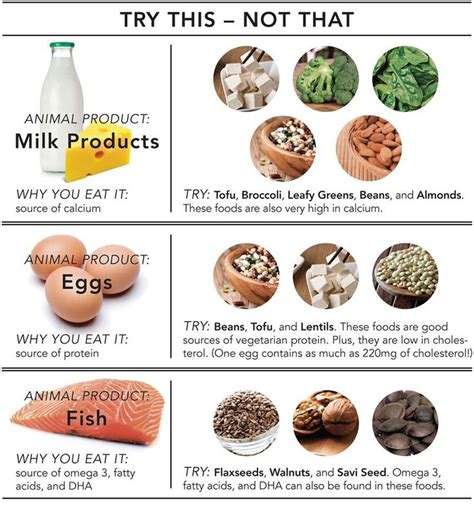 22 best If you dont eat meat or dairy how do you get your protein and