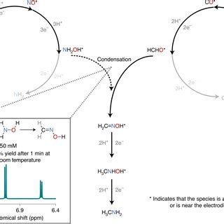 Direct Electrosynthesis Of Methylamine From Carbon Dioxide And Nitrate