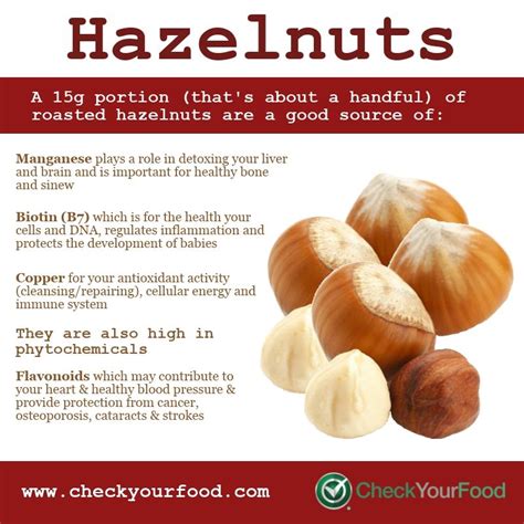 Health Benefits Of Hazelnuts Check Your Food Hazelnut